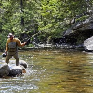 Read more about the article Too hot for trout : Why some anglers are rethinking their approach to fly fishing.



Please let me me know if you have any questions.