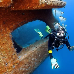 Read more about the article Malta wreck – divers win long – sought protection for endangered species