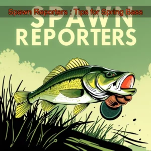 Read more about the article Spawn Reporters : Tips for Spring Bass