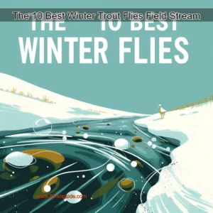 Read more about the article The 10 Best Winter Trout Flies  Field  Stream